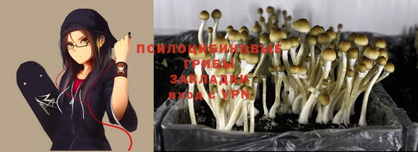 стафф Елабуга