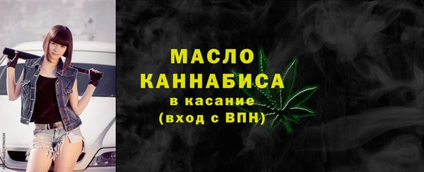 дмт Ельня