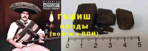 дмт Ельня