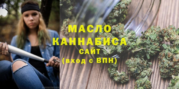 дмт Ельня