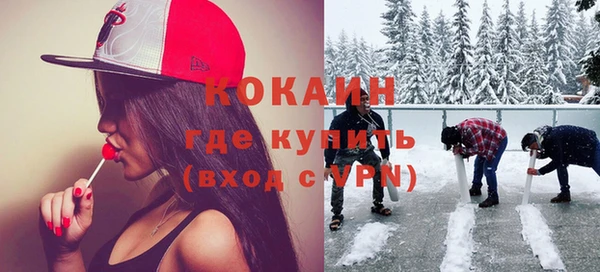 дмт Ельня