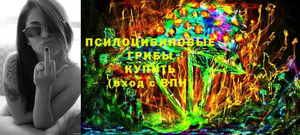 дмт Ельня