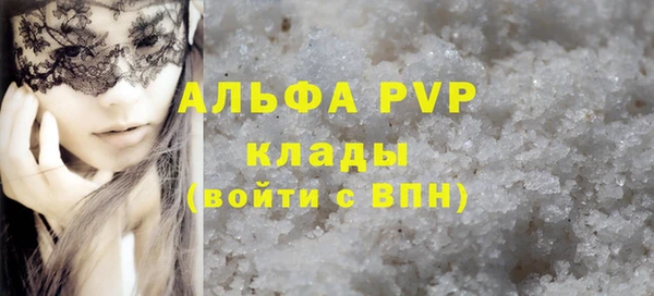 дмт Ельня