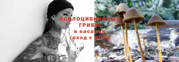 МДПВ Елизово