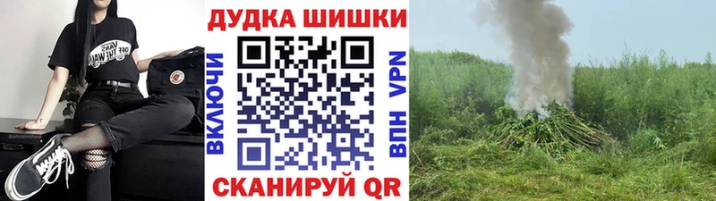 Бошки Шишки OG Kush  Купить  Саки 